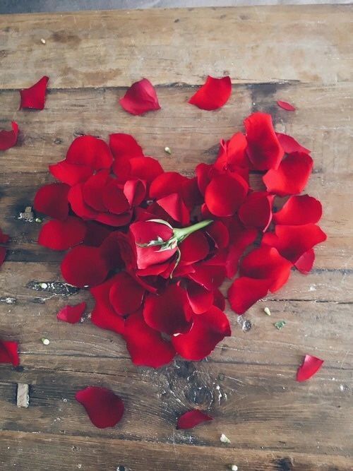 rose petals heart