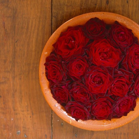 roses in a bowl
