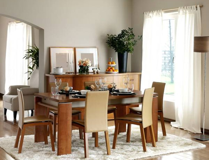 For Upgraded Home: Guide to Different Dining Chairs