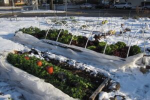 Winterize Your Yard for Healthy Spring Plants